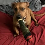 Abby Bower - @upsideyouyrgord - Instagram