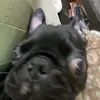abby - @abby_bradleyy - TikTok