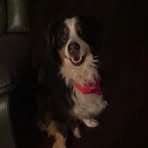 Abby Bradley - Facebook
