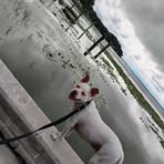Abby Bradley - Facebook