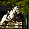 abby brown - @abbybrowneq - TikTok