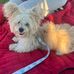 Abby Browne - Facebook