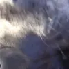 abbybrowne7 - @abbybrowne7 - TikTok