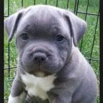 Abbie Bukley - @bigbunk121 - Instagram