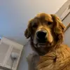 Abby - @abby.burke03 - TikTok