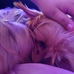 Abby Burke - @abbyburke28 - Instagram