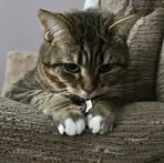 Abby Burns - Facebook