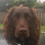 Abbie Burrell - @burrell.abbie8419 - Instagram