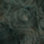 Abby Burris - @dancequeen_19_ - Instagram