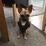 Abby Burrows - @the_life_of_ted_03 - Instagram