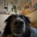 Abby Burrows - Facebook