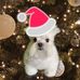 Abby Bittner - Facebook