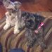 Abby Butcher - Facebook