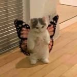 Abby🦋 - @abby_butterfy - Instagram