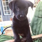 Abby - @abbybyrum706 - Instagram