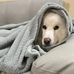 Abby Caŋo - Facebook