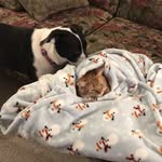 Abby Caputo - @abby_therese_04 - Instagram
