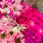 Abby Carey - @ambrosiacreations2 - Instagram