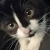 Abby Cauthen - Facebook