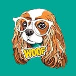🐾Abby🐾 - @abby_the_cavalierkingcharles - Instagram