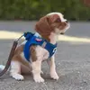 cavalier_abby - @cavalier_abby - TikTok