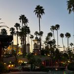 Abby - @abbycavee - Instagram