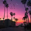 Abi Ceja - @abi.ceja.eyebrow - TikTok