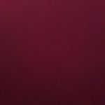 Abby Chadwick - @chadwick.abby - Instagram