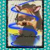 abbychamberlain - @abbychamberlain - TikTok