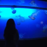 Abby Chang - @c_abby11 - Instagram