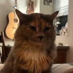 Abby Charleson - @abbycharleson - Instagram