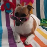 Abby Check - @wonderfulworldofabby - Instagram