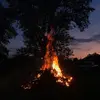 Abbybarbercheck - @abbybarbercheck - TikTok