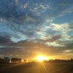 @abby_cheney_ - Instagram