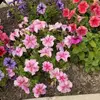 Abby_jc - @abby.cheney - TikTok