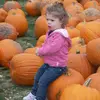 Abbie Chenoweth - @abbie_chenoweth - TikTok