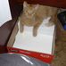 Abby Chenoweth - Facebook
