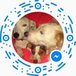 Abbey Chilton - @abbeychilton - Instagram
