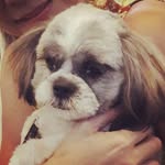 abby cisneros - @baby_baw_waw - Instagram