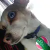 Abby_MCCLELAND1233 - @buddyboy123497 - TikTok