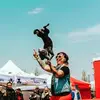 Abby Cline - @thedogcarnival - TikTok