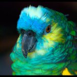 Abby Clinton - @_birdie_boo - Instagram