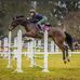Abby Coates - Facebook