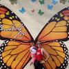 Abby Collazo Hull - @abbycollazohull - TikTok