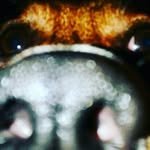 abby - @abby_comeaux123 - Instagram