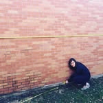 abbycomeau - @abbycomeau - Instagram