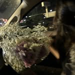 Abbycoronado - @abbycoronado51 - Instagram