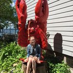 Abby Costello - @abby_costello_3345 - Instagram
