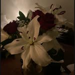 abby decker - @bedazzle_bedazzle21 - Instagram