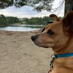 Abby Decker - @abbygirl320 - Instagram